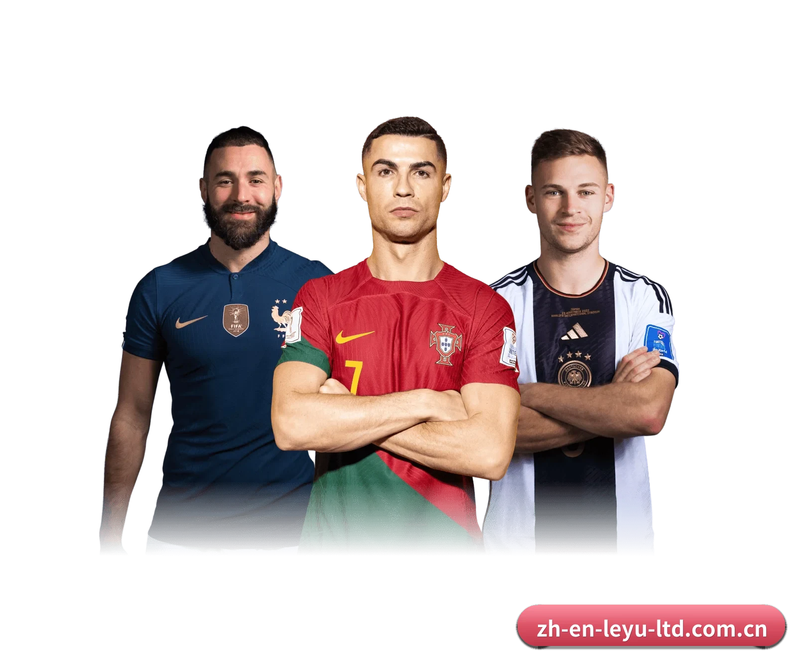 乐鱼体育 APP | LeyuSports