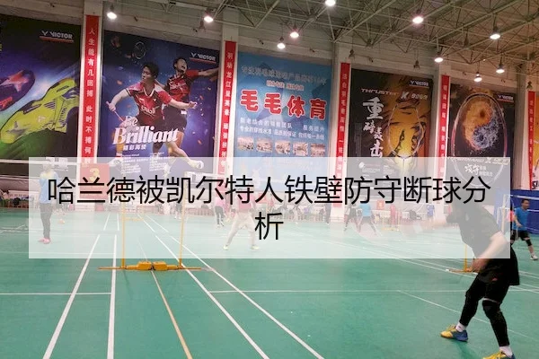 ha-lan-de-bei-kai-er-te-ren-tie-bi-fang-shou-duan-qiu-fen-xi-2-431.jpg